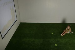 Интерактивная светозвуковая система “Лайт Бим” - fgospostavki.ru - Тихорецк