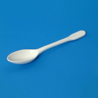 Ложка фарфоровая N2 - fgospostavki.ru - Тихорецк