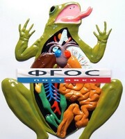 Модель барельефная "Внутреннее строение лягушки" - fgospostavki.ru - Тихорецк