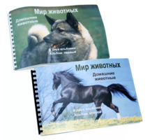 Пособие для слабовидящих - Домашние животные - fgospostavki.ru - Тихорецк
