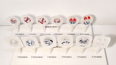 Модель "Митоз и мейоз клетки" - fgospostavki.ru - Тихорецк