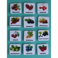 Набор карточек "Ягоды" - fgospostavki.ru - Тихорецк
