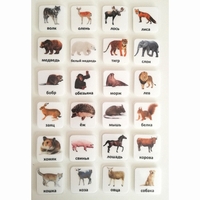 Набор карточек "ЖИВОТНЫЕ" - fgospostavki.ru - Тихорецк
