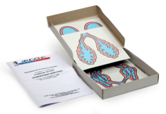 Модель-аппликация "Развитие легких позвоночных животных" (набор из 5 карт) - fgospostavki.ru - Тихорецк