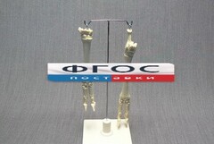 Скелет конечности овцы (передняя и задняя) на подставке - fgospostavki.ru - Тихорецк