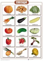 Таблицы "Окружающий мир" (формат А2, ламинированные, 10 таблиц) - fgospostavki.ru - Тихорецк