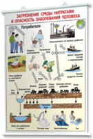 Плакаты по общей экологии для оформления кабинета. - fgospostavki.ru - Тихорецк