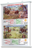 Плакаты по географии России для оформления кабинета. - fgospostavki.ru - Тихорецк