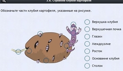 Интерактивные курсы. Биология 6 класс. Расширенный - fgospostavki.ru - Тихорецк