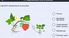 Интерактивные курсы. Биология 7 класс. Расширенный. - fgospostavki.ru - Тихорецк