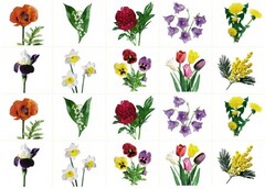 Комплект карточек "Запоминай, играй, считай" - Цветы - fgospostavki.ru - Тихорецк