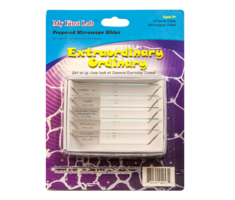 Набор микропрепаратов для микроскопа №3 «Необычное в обычном» - fgospostavki.ru - Тихорецк