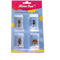 Набор микропрепаратов для стереомикроскопа №14 «Насекомые» - fgospostavki.ru - Тихорецк