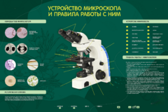 Электрифицированный стенд "Устройство микроскопа и правила работы c ним" - fgospostavki.ru - Тихорецк