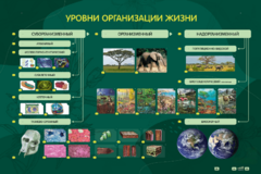 Электрифицированный стенд "Уровни организации жизни" - fgospostavki.ru - Тихорецк