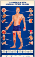 Электрифицированный стенд-тренажер "Травматизм и меры оказания первой помощи" - fgospostavki.ru - Тихорецк