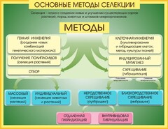 Стенд "Методы селекции и биотехнологии" - fgospostavki.ru - Тихорецк