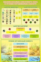 Стенд "Классификация животного мира" - fgospostavki.ru - Тихорецк