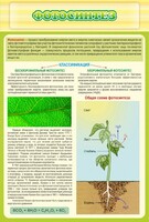 Стенд "Фотосинтез" - fgospostavki.ru - Тихорецк
