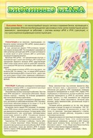 Стенд "Биосинтез белка" - fgospostavki.ru - Тихорецк