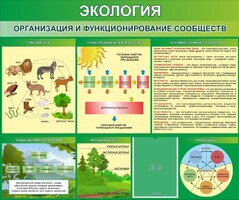 Стенд "Экология. Организация и функционирование сообществ" - fgospostavki.ru - Тихорецк