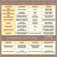 Стенд "Самостоятельные части речи" Вариант 2 - fgospostavki.ru - Тихорецк