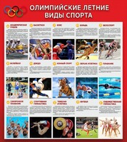Стенд "Олимпийские летние виды спорта" - fgospostavki.ru - Тихорецк