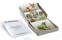 Модель-аппликация "Взаимодействия в природных сообществах" (набор из 23 карт) - fgospostavki.ru - Тихорецк