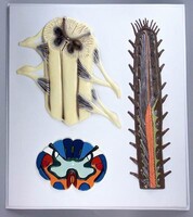 Модель барельефная "Строение спинного мозга" - fgospostavki.ru - Тихорецк