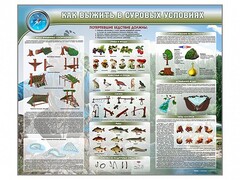 Стенд "Как выжить в суровых условиях" - fgospostavki.ru - Тихорецк