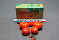 Набор муляжей "Дикая форма и культурные сорта томатов" - fgospostavki.ru - Тихорецк