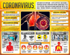 Плакат "Коронавирус" (вариант 2) - fgospostavki.ru - Тихорецк