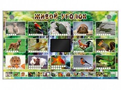 Комплект оборудования "Живой уголок" (животные) - fgospostavki.ru - Тихорецк