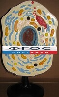 Модель "Клетка животного" - fgospostavki.ru - Тихорецк