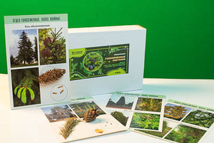 Коллекция "Голосеменные растения" - fgospostavki.ru - Тихорецк