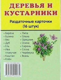 Раздаточные карточки "Деревья и кустарники" - fgospostavki.ru - Тихорецк
