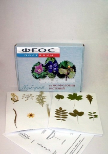 Гербарий "Морфология растений" (5 тем х 3 листа) - fgospostavki.ru - Тихорецк