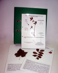 Гербарий к курсу основ общей биологии (20 листов, ламинированный) - fgospostavki.ru - Тихорецк