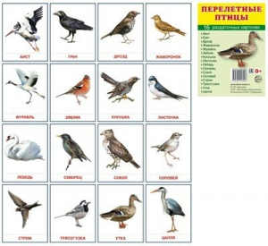 Раздаточные карточки "Перелетные птицы" - fgospostavki.ru - Тихорецк