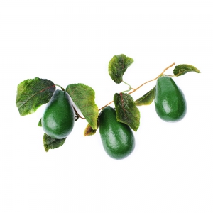 Ветка муляжей "Авокадо" - fgospostavki.ru - Тихорецк