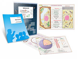 Комплект кодотранспарантов "Цитология" - fgospostavki.ru - Тихорецк