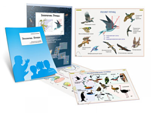 Комплект кодотранспарантов "Зоология. Птицы" - fgospostavki.ru - Тихорецк