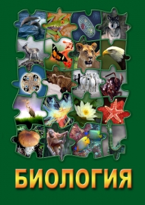 DVD "Биология. Часть 1" - fgospostavki.ru - Тихорецк