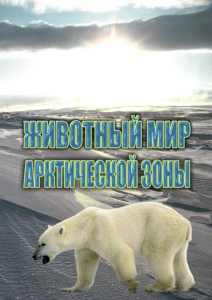 DVD "Животный мир Арктической зоны" - fgospostavki.ru - Тихорецк