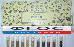 Коллекция "Семена к гербарию для начальной школы" (11 видов) - fgospostavki.ru - Тихорецк