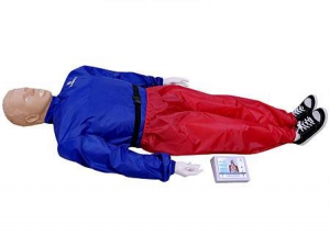 "Александр-04" тренажер-манекен взрослого пострадавшего для отработки приемов сердечно-легочной реанимации (голова, туловище, конечности) с контроллером - fgospostavki.ru - Тихорецк