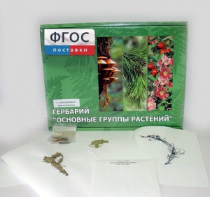 Гербарий "Основные группы растений" (52 листа) - fgospostavki.ru - Тихорецк