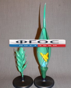 Модель "Цветок пшеницы" - fgospostavki.ru - Тихорецк