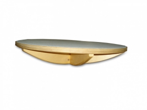 Балансир детский (круг) - fgospostavki.ru - Тихорецк