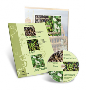Электронное наглядное пособие «Водоросли. Мхи. Цветковые» - fgospostavki.ru - Тихорецк